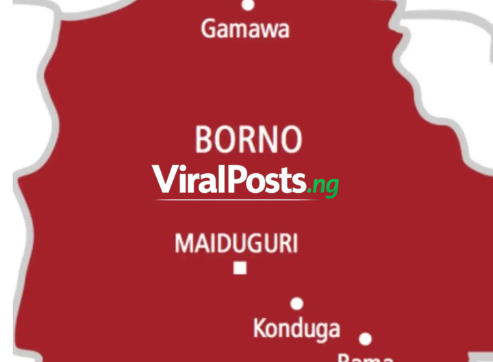 BREAKING: ISWAP Fighter’s Wife, Infant Escape Terrorist Camp, Surrender To Troops In Borno