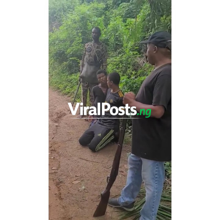 BREAKING: Two Suspected Bandits Arrested With Cattle In Osun Forest Operation